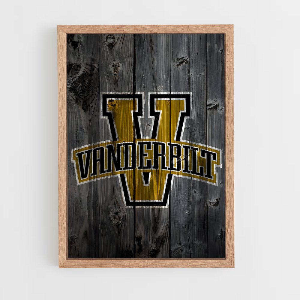 Poster Vandy Spirit – affiche Baseball (vue 4)